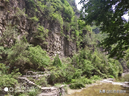 晋城凤凰欢乐谷(苗胜文原创图集)