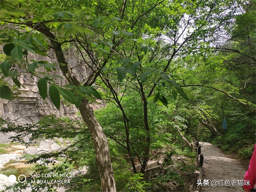 晋城凤凰欢乐谷(苗胜文原创图集)