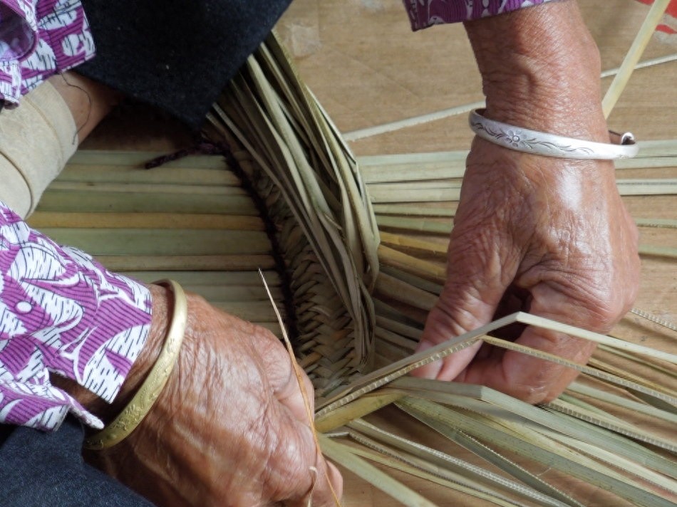 童年夏天的记忆，扇风打虫的好帮手——蒲扇