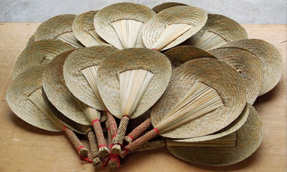 童年夏天的记忆，扇风打虫的好帮手——蒲扇