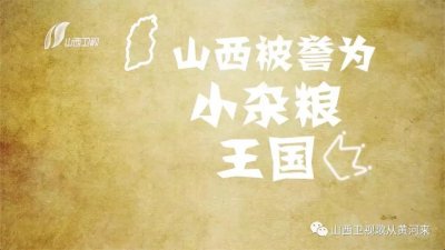 不是所有的小米都叫“山西小米”!#歌从黄河来#