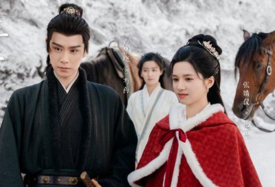 ​总局收视榜：《乘风踏浪》第六，《承欢记》第三，《追风者》第二