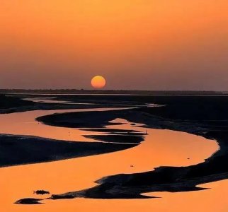 ​白日不到处，青春恰自来