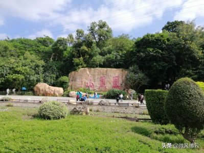 ​深圳免费自由行-深圳凤凰山森林公园旅游攻略（美丽深圳游玩）