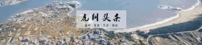 ​福州的这个花鸟市场，我能逛上一整天