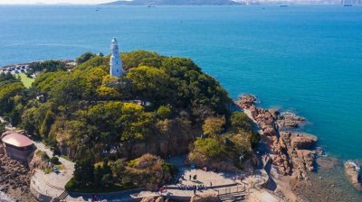 ​高校甄选：山东科技or齐鲁工业or山东理工