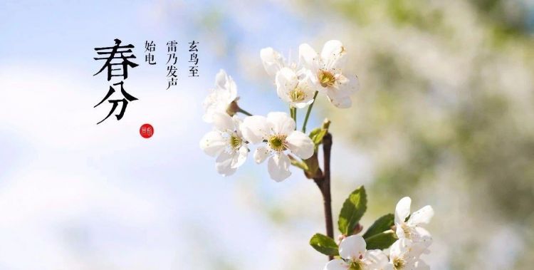 春分有什么风俗