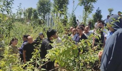 ​农业局是什么单位,农业局是事业单位还是行政单位