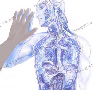 ​灵魂画手！协和学子手绘解剖图“火了”网友：分不清是医学生还是美术生！