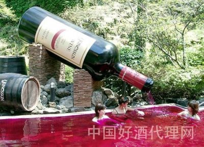 kenwood红酒价格(kenwood红酒)