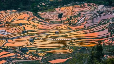 从青岛游玩云南全境,在西双版纳避寒全攻略