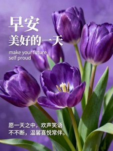 ​30张最新版本今天早上好早安图片，问候最暖，祝福最深！